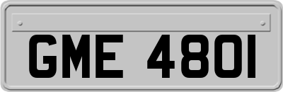 GME4801