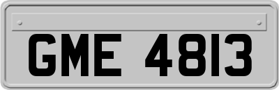 GME4813