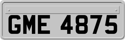 GME4875