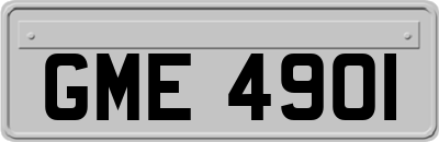 GME4901