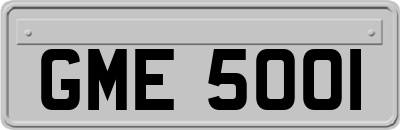 GME5001