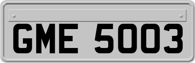 GME5003