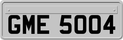 GME5004