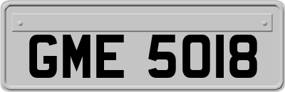 GME5018