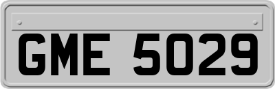 GME5029