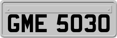GME5030