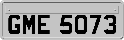 GME5073
