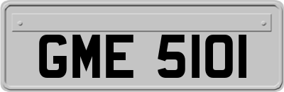 GME5101