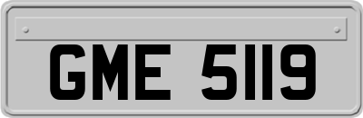 GME5119