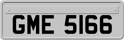 GME5166