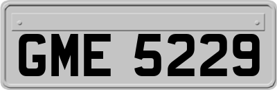GME5229