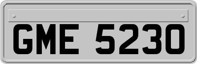 GME5230