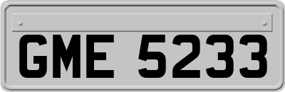 GME5233
