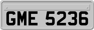 GME5236