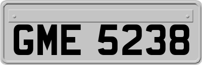 GME5238