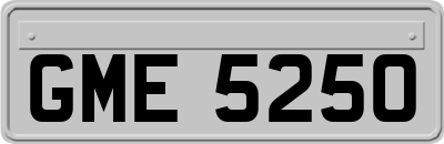 GME5250