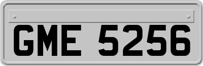 GME5256