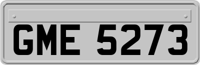 GME5273