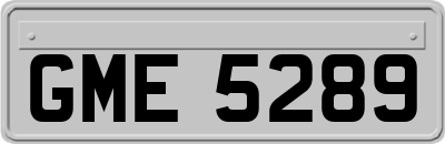 GME5289