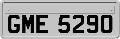 GME5290