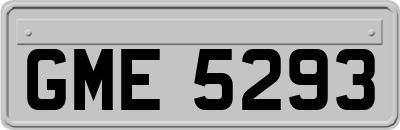 GME5293