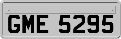 GME5295