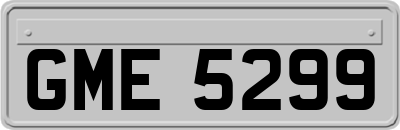 GME5299