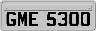 GME5300