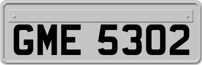 GME5302