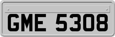 GME5308