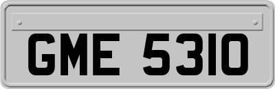 GME5310