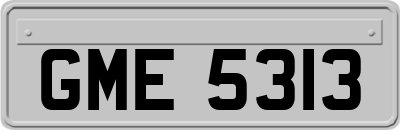 GME5313