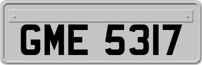 GME5317