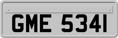 GME5341