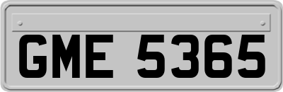 GME5365