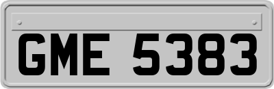 GME5383