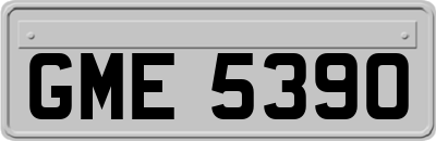 GME5390