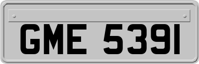 GME5391