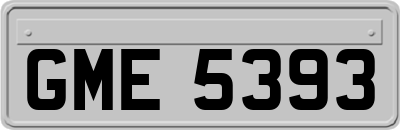 GME5393