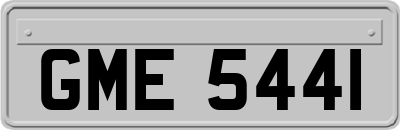 GME5441