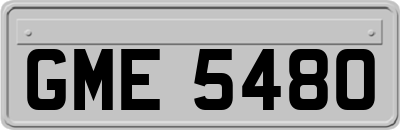 GME5480