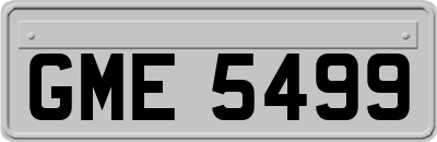GME5499