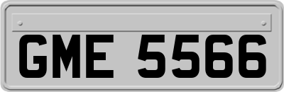 GME5566
