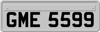 GME5599