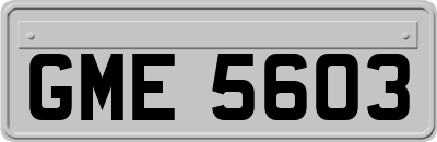 GME5603