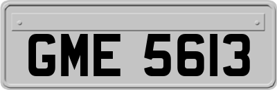 GME5613