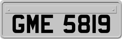 GME5819