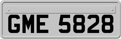 GME5828