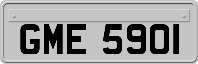GME5901