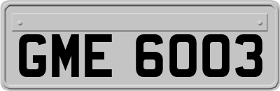 GME6003